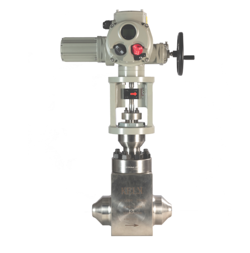 GC120 cage-guided single seat control valve