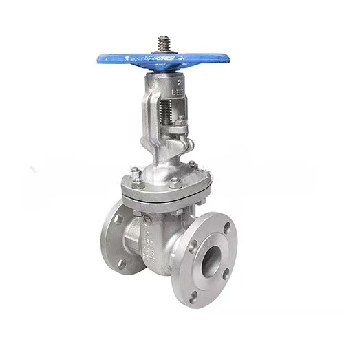 Cast stainless steel flanged gate valve
