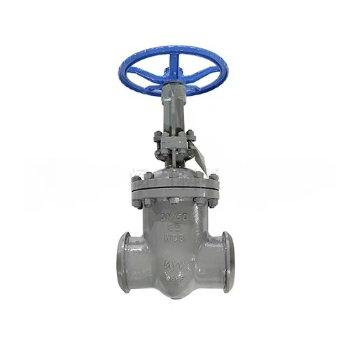 Cast steel butt weld gate valve
