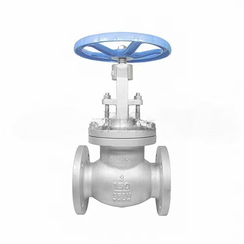 Cast stainless steel flanged globe valve